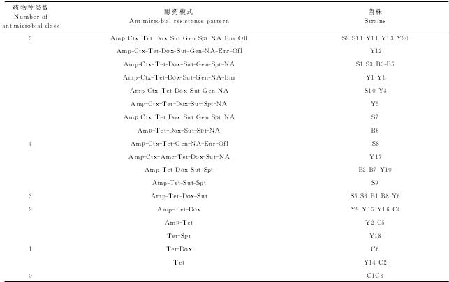 ��4 ��ͬ��������Դ�󳦰�ϣ������ҩģʽ