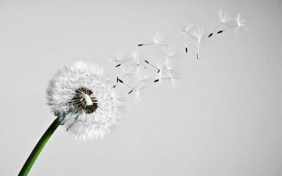 �������ppt��ͷ