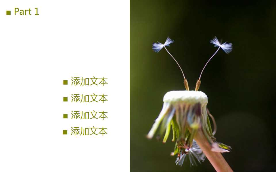 �������ppt�ڶ�����