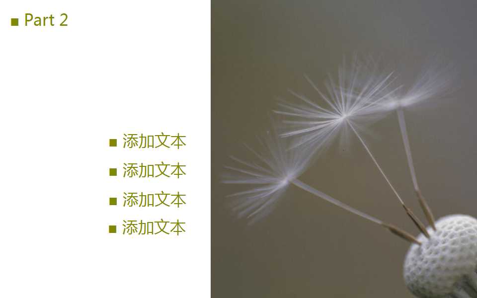 �������ppt�ڶ�����