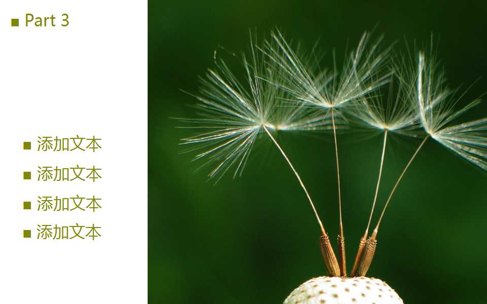 �������ppt��������