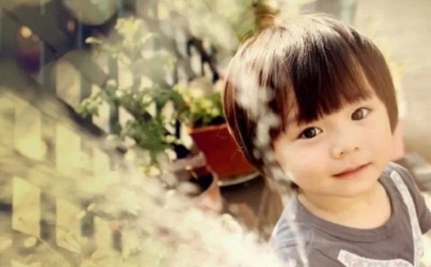 ��½̨���׶���ʦרҵ������̽��