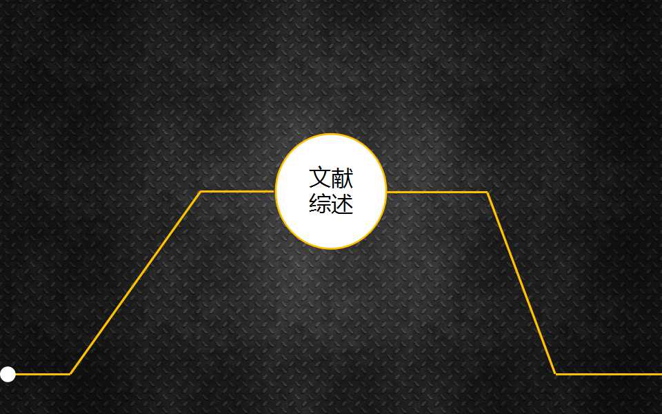 文献综述一